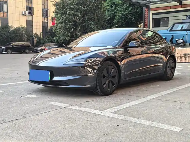 Tesla Model 3 Задний привод