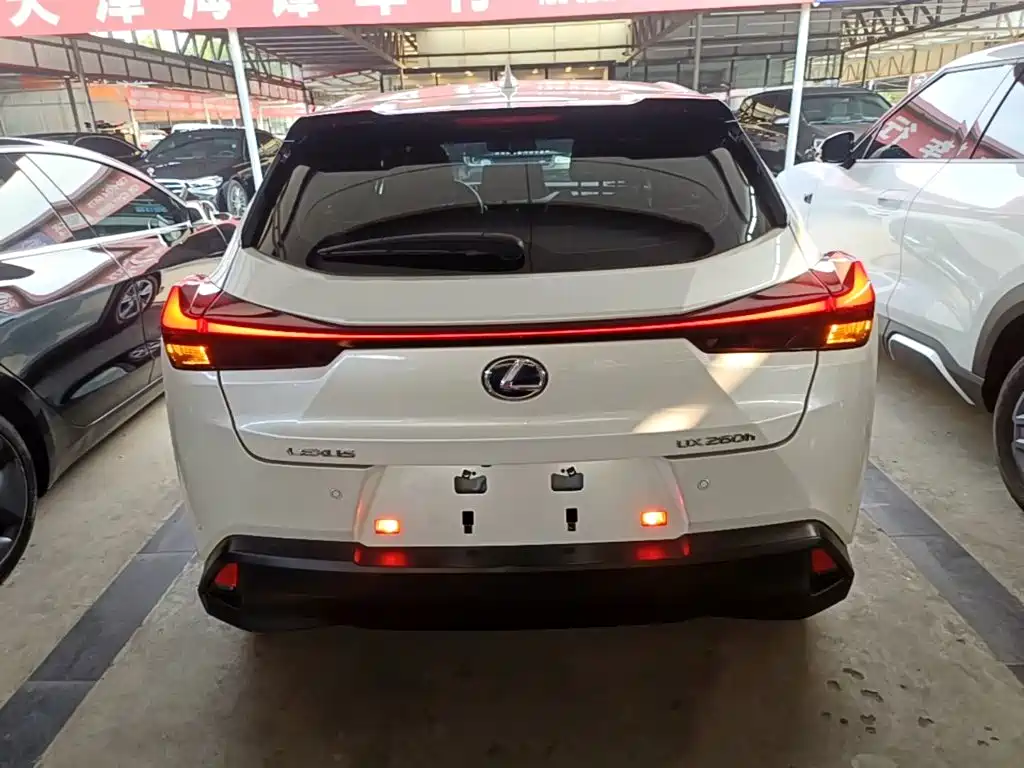 Lexus UX 2021 2020 260h Explore Fun Edition