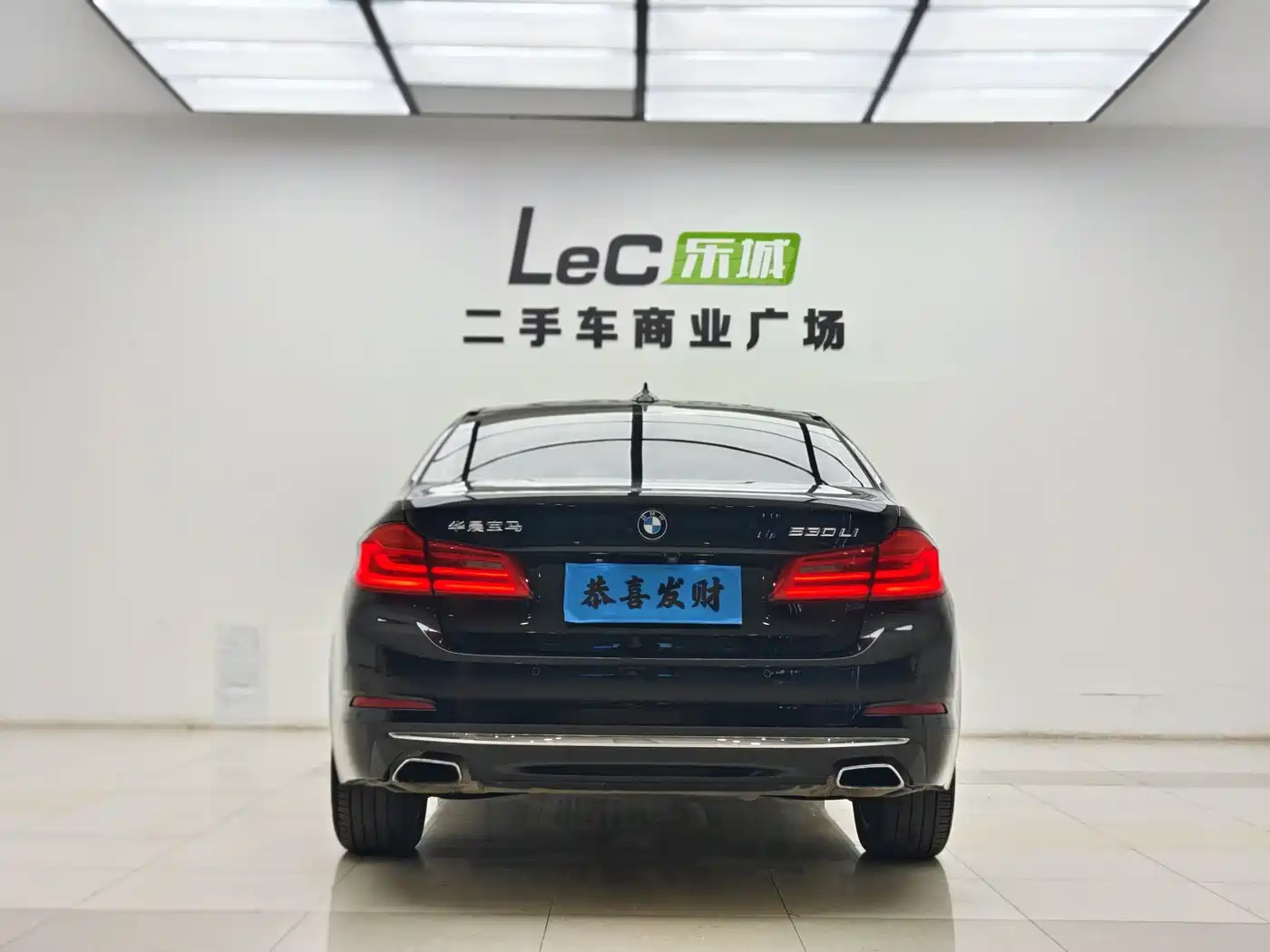 BMW 5 Series 2020 530Li Leading Luxury Package фото 14