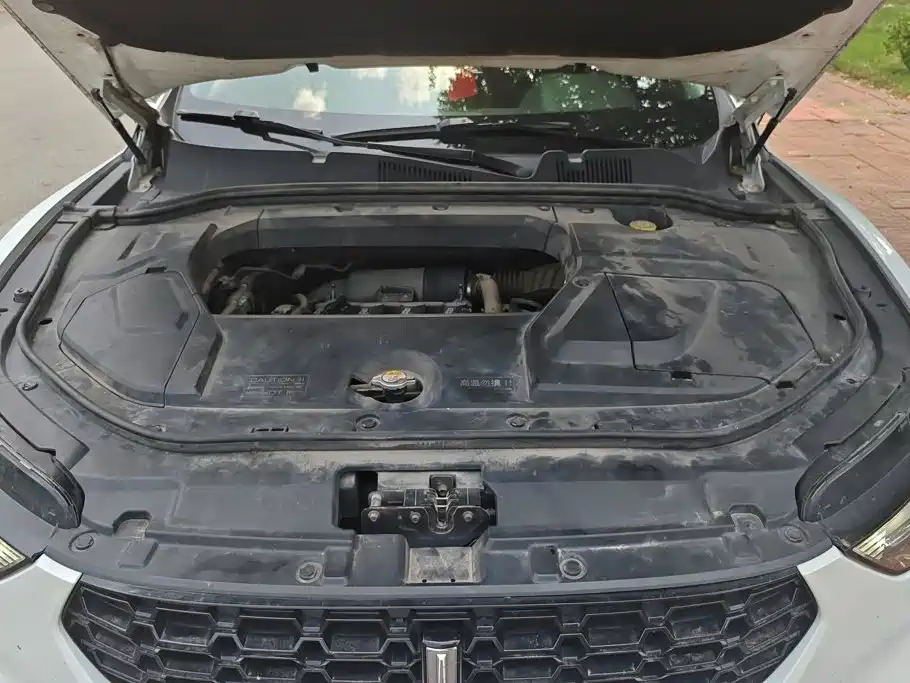 WEY VV5 2018 2017 2.0T Flagship Model