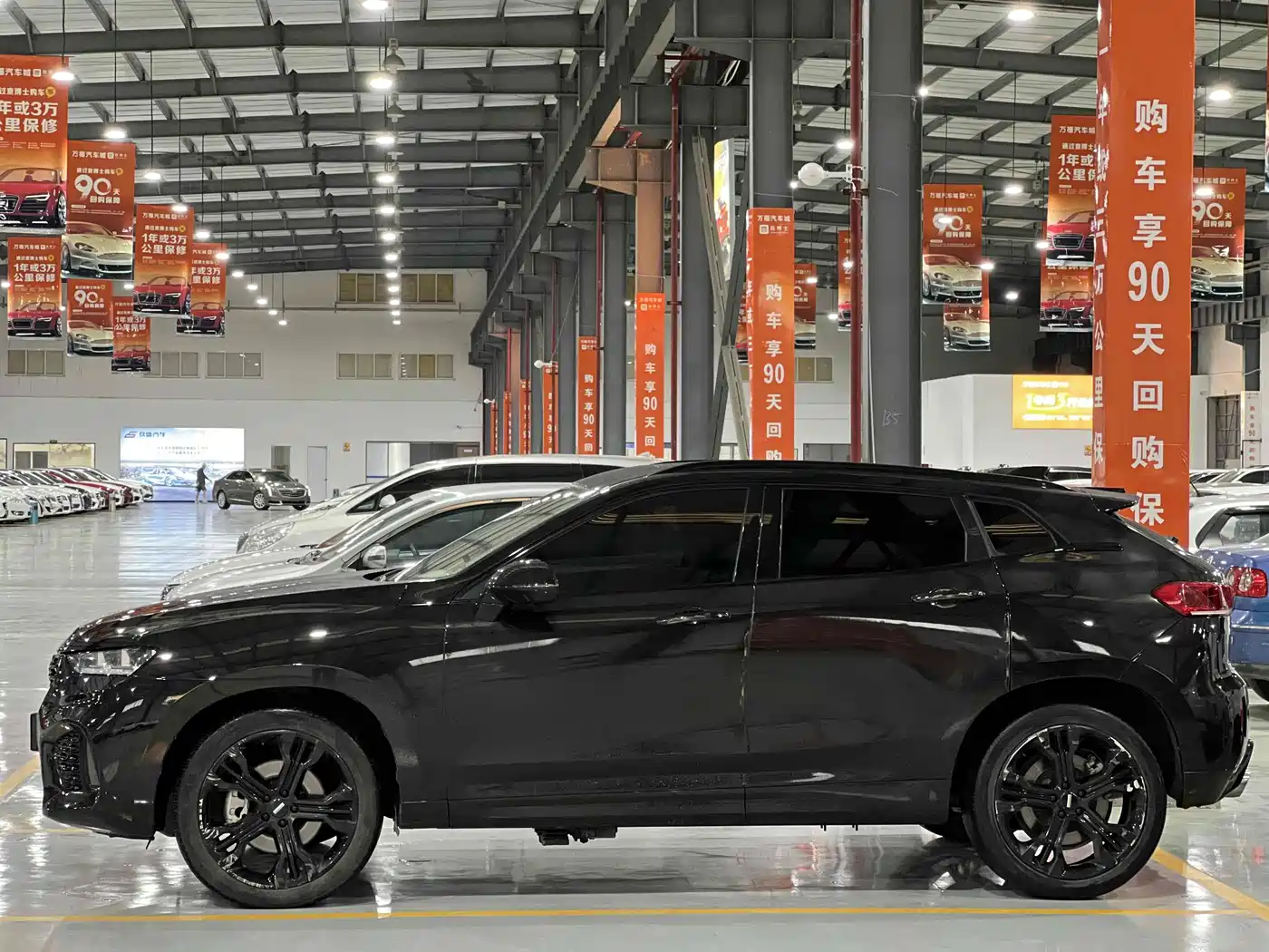 WEI PAI WEI BRAND VV7