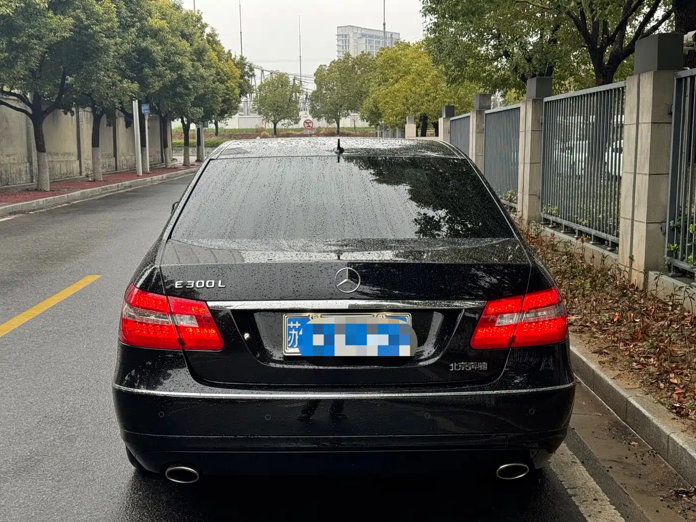 Mercedes-Benz E-Class 2013 E 300 L Elegance фото 4