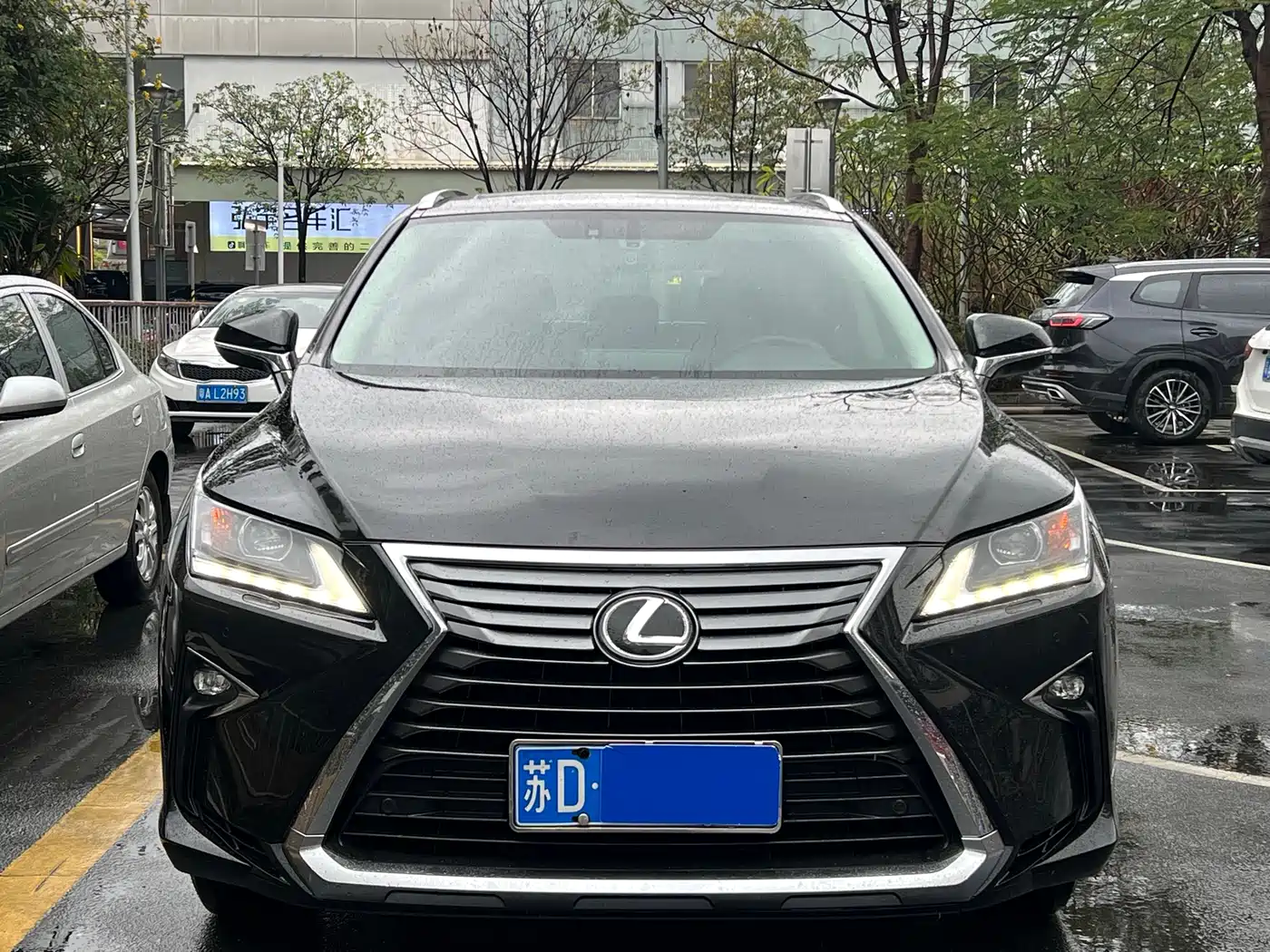 LEXUS RX