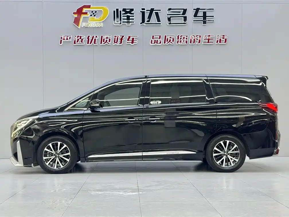 GAC Trumpchi Trumpchi M8 2021 Leading Show Series 390T Luxury Edition фото 4