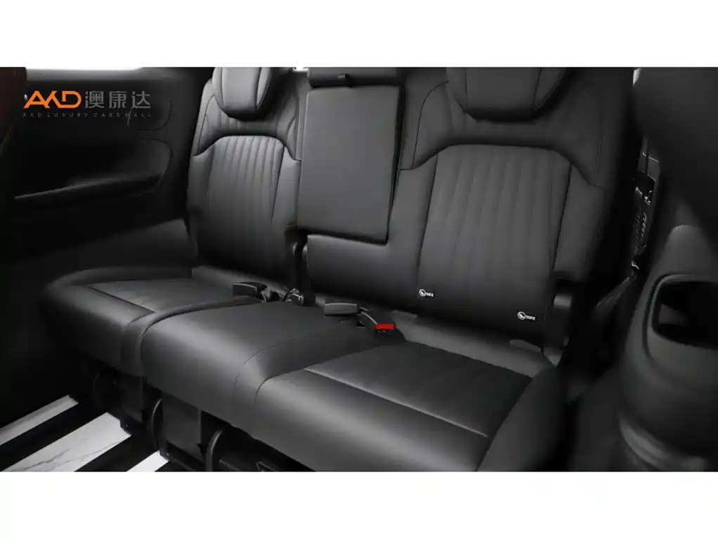 GAC Trumpchi Trumpchi E9 2023 E9 MAX фото 9