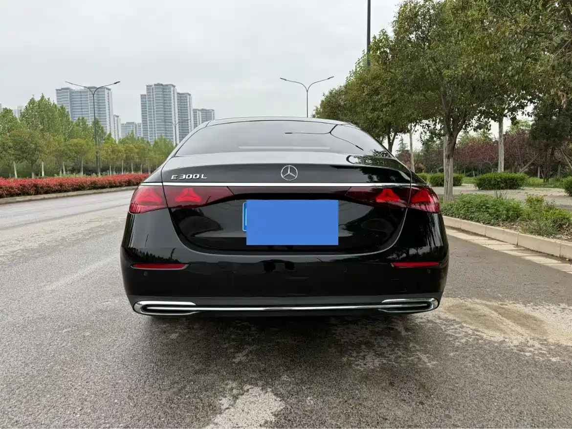 Mercedes-Benz E-Class 2024 Model E 300 L Luxury фото 8