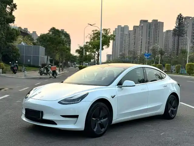 Tesla Model 3 (Import) 2019 Long Range RWD Version