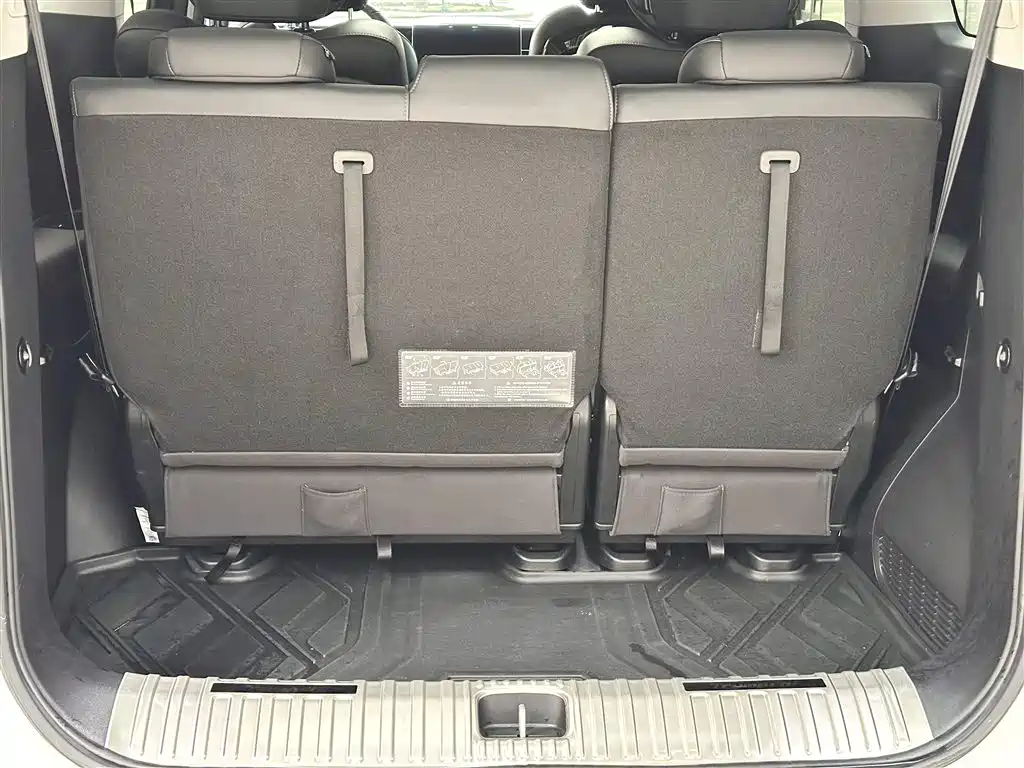 GAC Trumpchi Trumpchi M8 2024 Master Series 400T Premium Edition фото 25