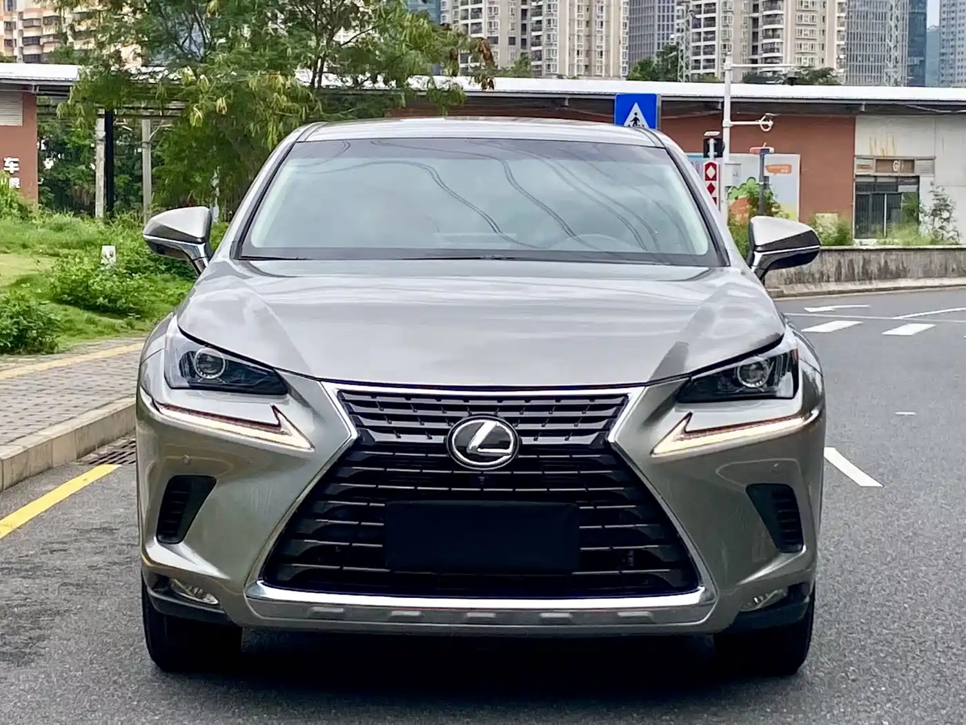 Lexus NX 2020 200 FWD Fengyi Edition China VI фото 2