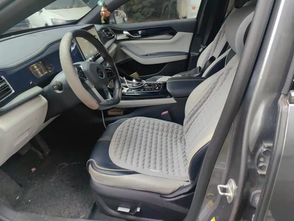 BYD Qin PLUS 2021 DM-i 55KM Flagship фото 8