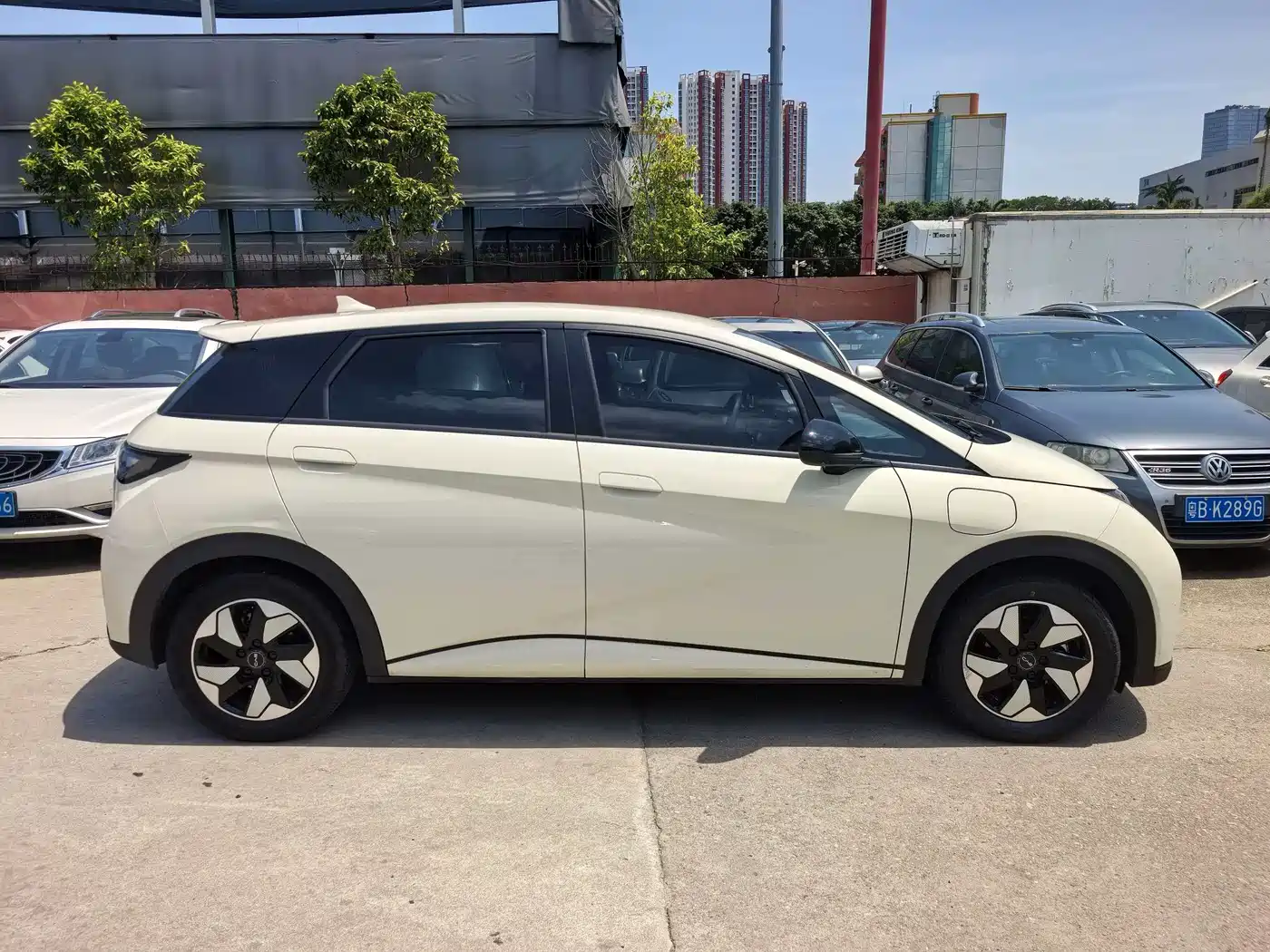 BYD Dolphin 2024 Glory Edition 420km Freedom Edition фото 3