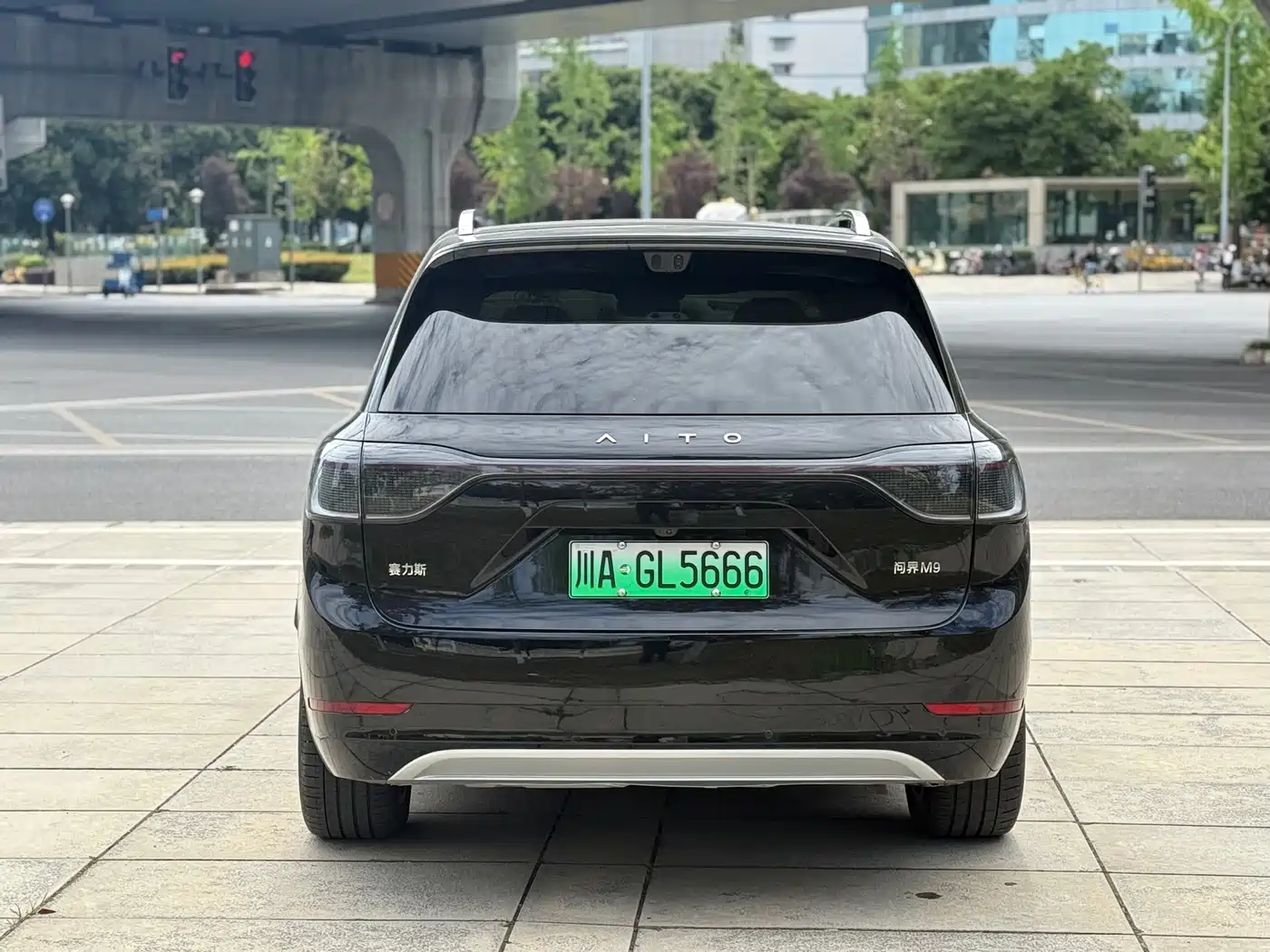 AITO Wenjie AITO M9 2025 Extended Range Max 52kWh 6-Seater фото 6
