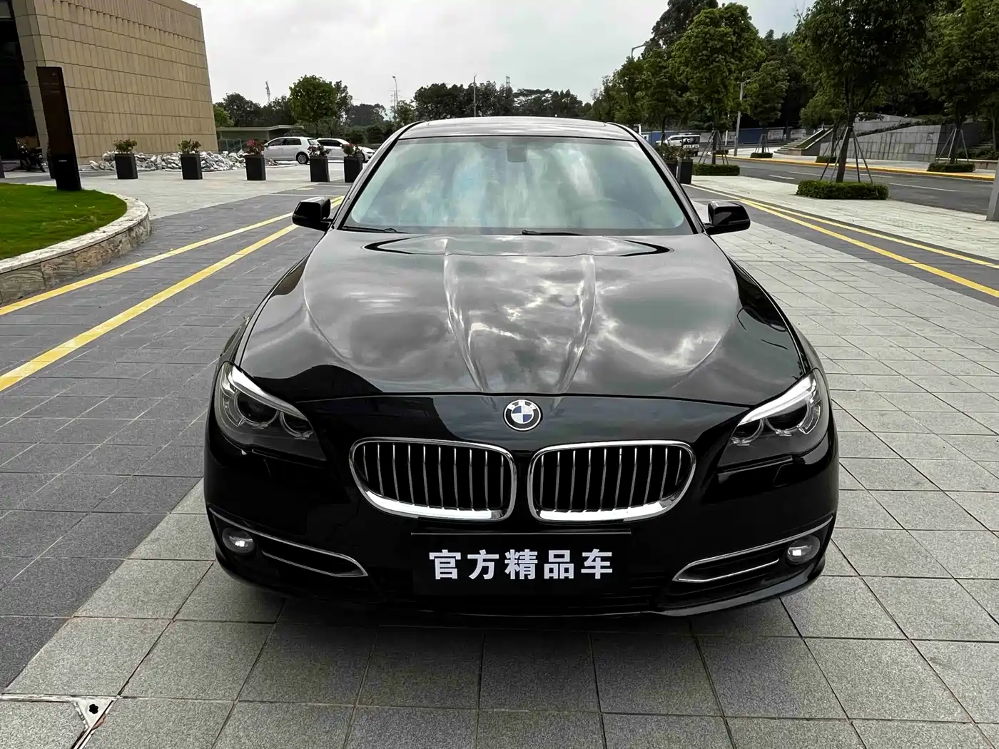 BMW 5 Series 2014 525Li Luxury Design Package фото 3
