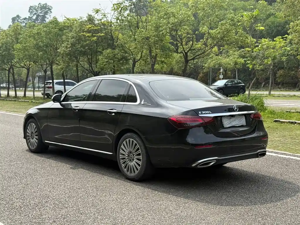 Mercedes-Benz E-Class 2021 E 300 L Luxury фото 7