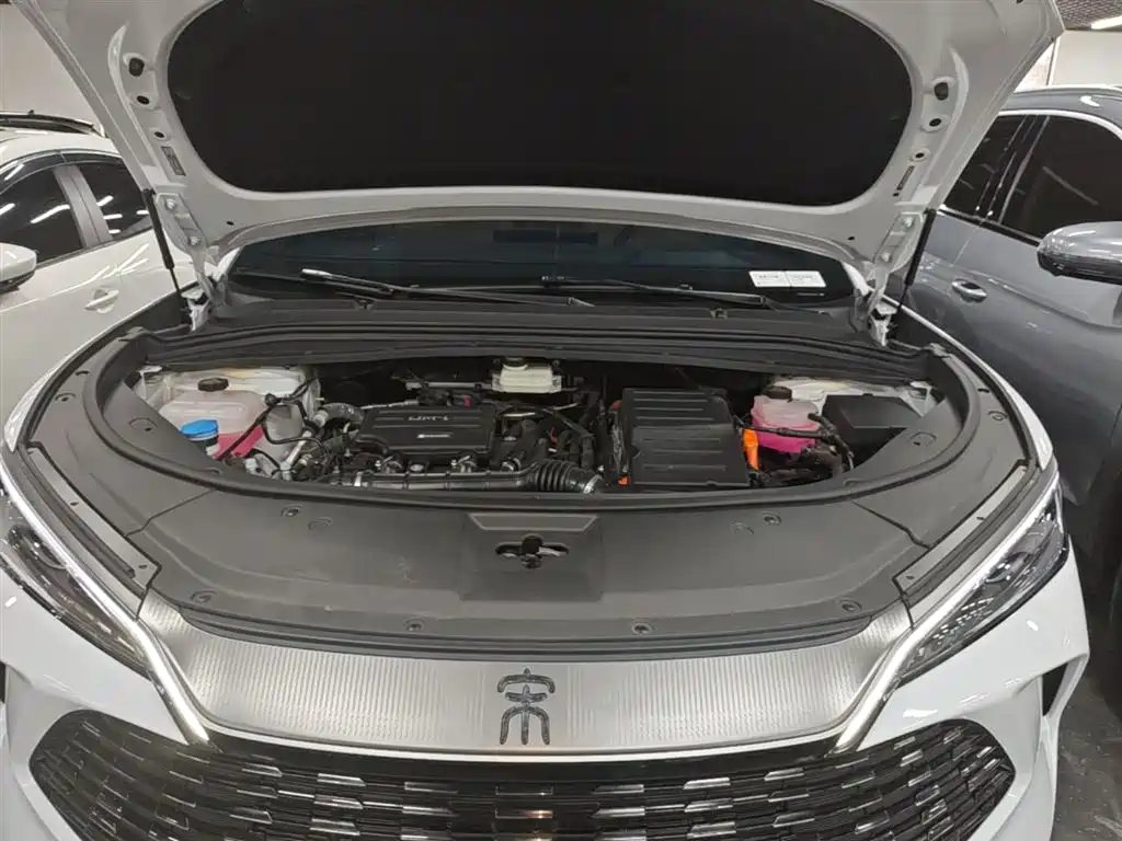 BYD Song L DM-i 2024 112km Leading Edition фото 20