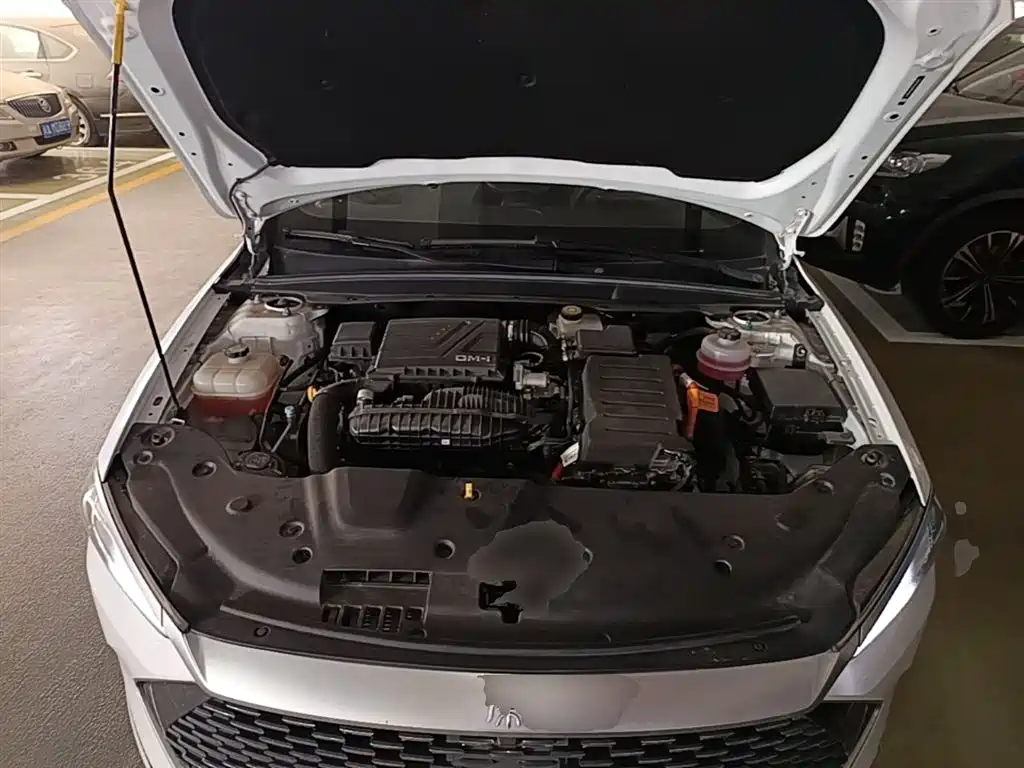 BYD Qin PLUS 2024 Glory Edition DM-i 55KM Leading фото 20