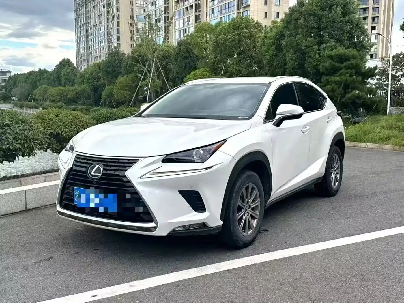 LEXUS NX