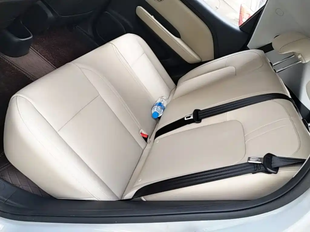 Wuling Motors Wuling Binguo PLUS 2026 2024 Model 330km 5-Seater