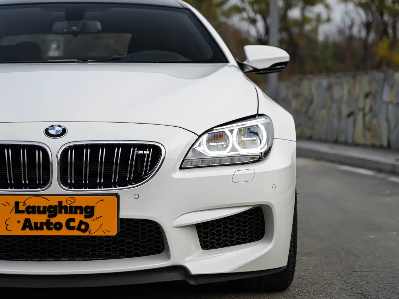 BMW M6 2013 M6 Gran Coupe фото 5