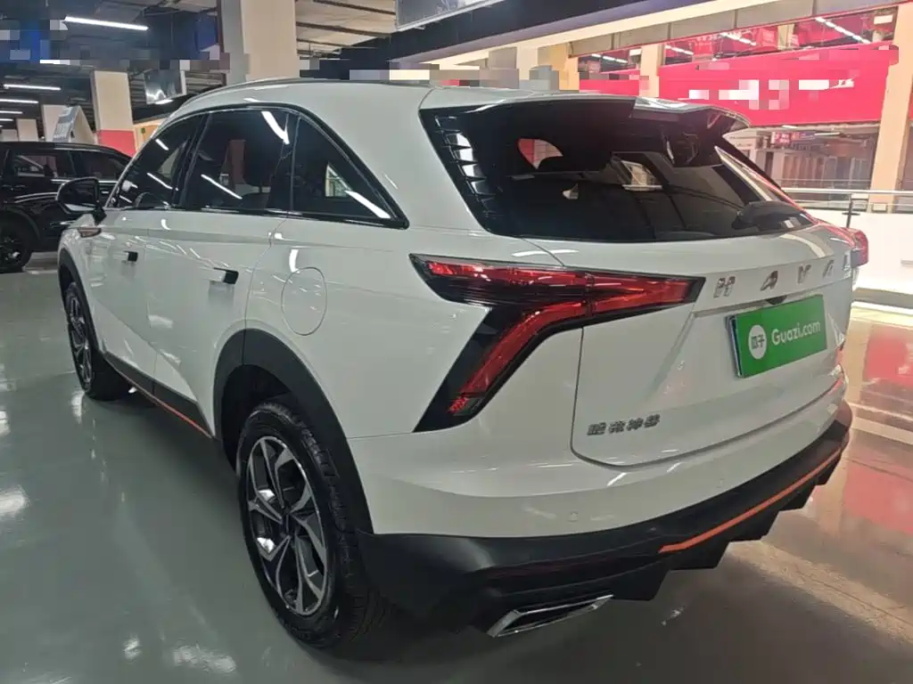 Haval Shenshou 2023 2022 1.5T Smart Enjoyment Edition