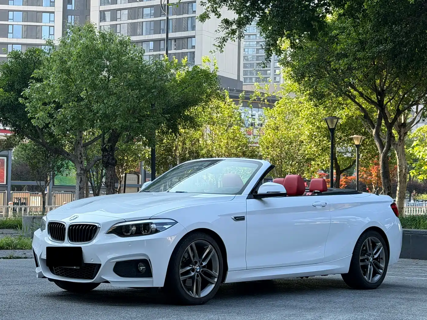 BMW 2 Series (Import) 2018 225i Convertible Coupe Premium M Sport Package