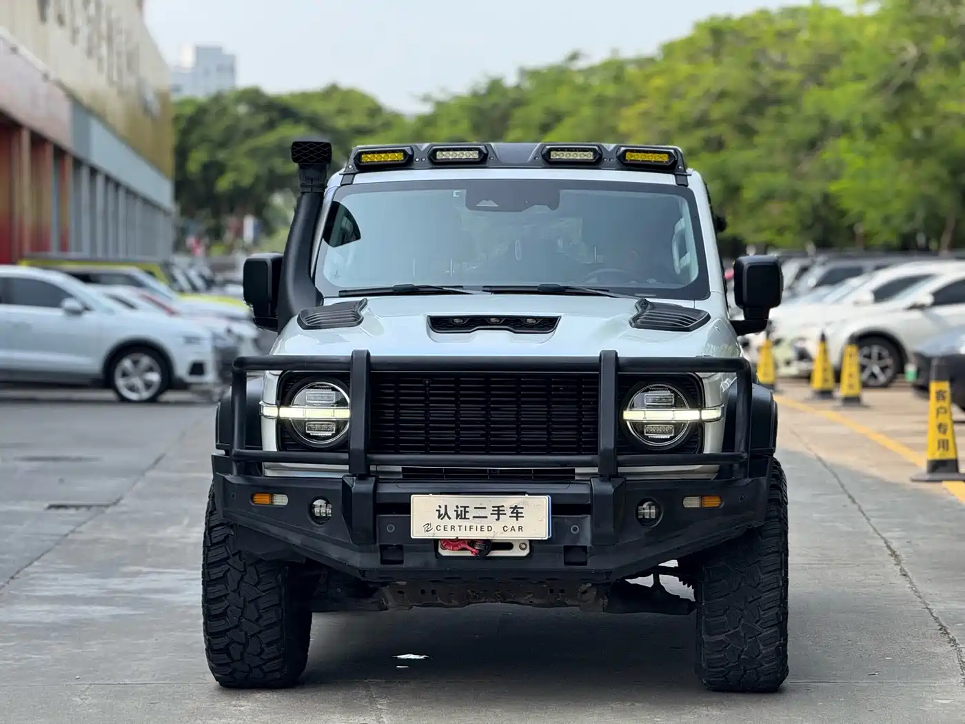 Tank 300 2021 2021 Off-road Version 2.0T Conqueror