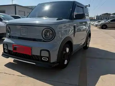 Geely Panda