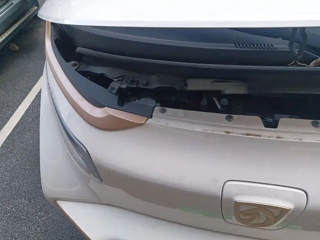Baojun E200 2020 2020 305KM Smart Enjoyment Edition
