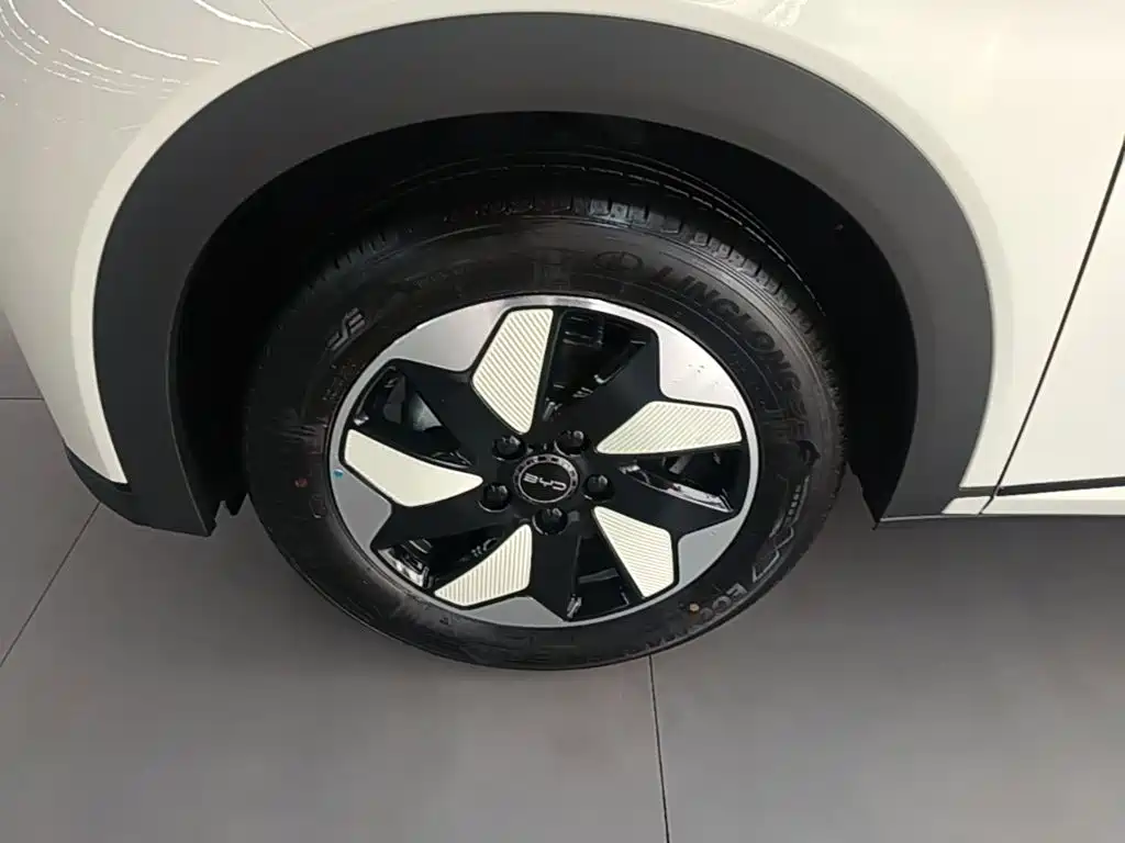 BYD Dolphin 2026 2025 420km Freedom Edition
