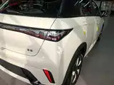 Фото 8 - BYD Dolphin