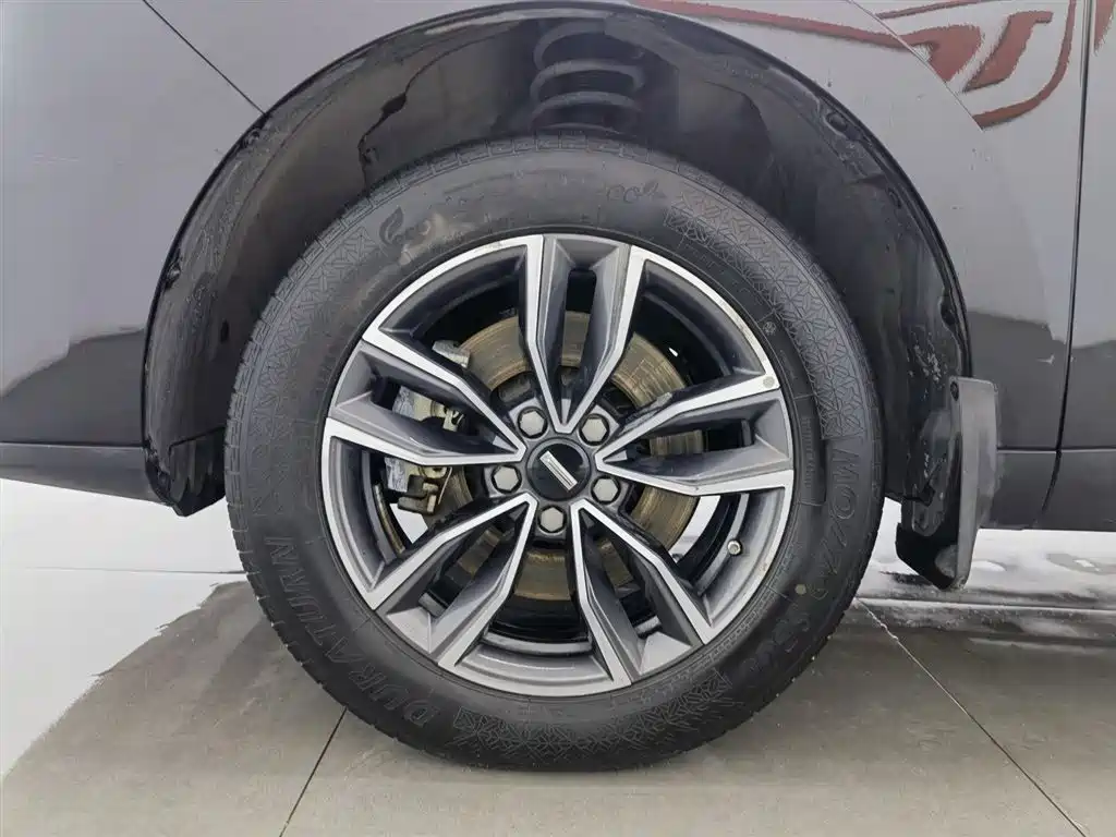 WEI PAI WEI BRAND VV5