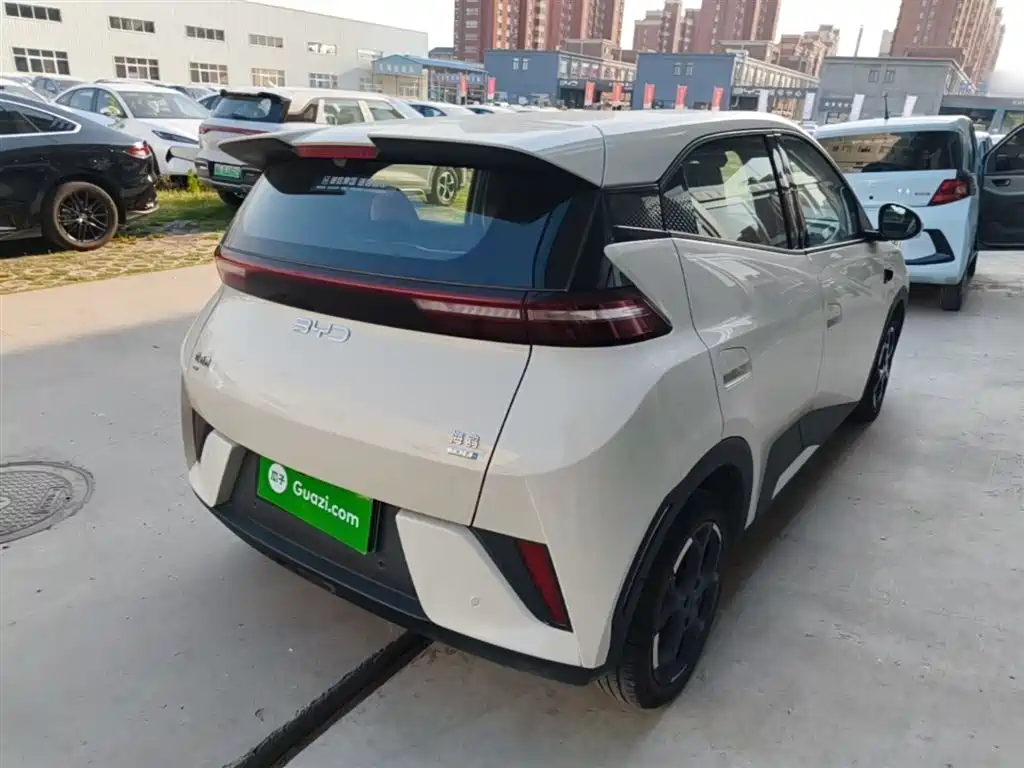 BYD Seagull 2025 Smart Drive Edition 305km Freedom Version фото 7