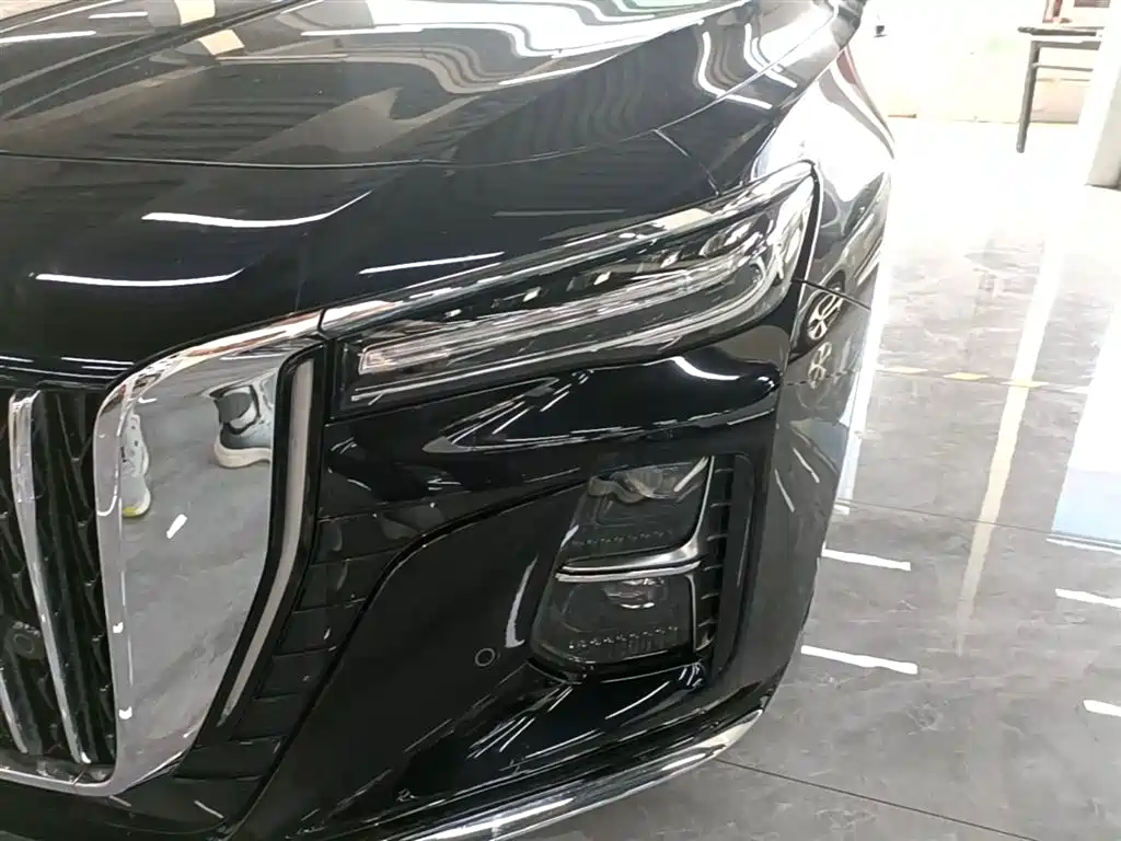 Hongqi H5 2023 2.0T Auto Smart Connect Flag Comfort фото 24