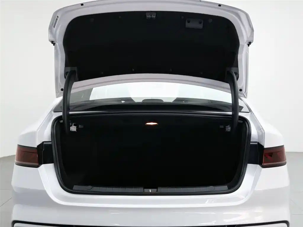 BYD Qin PLUS 2024 Glory Edition DM-i 55KM Leading фото 16
