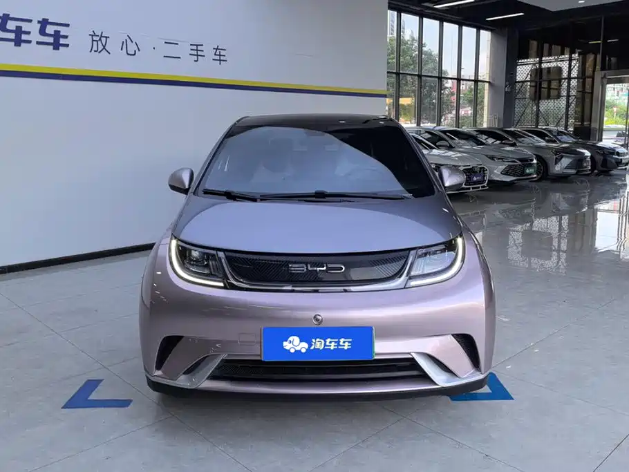 BYD Dolphin 2022 2021 Model 405km Fashion Edition