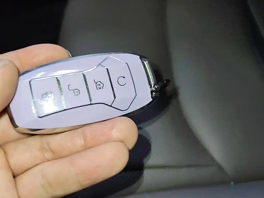 BYD Han 2021 EV Standard Range Luxury фото 9