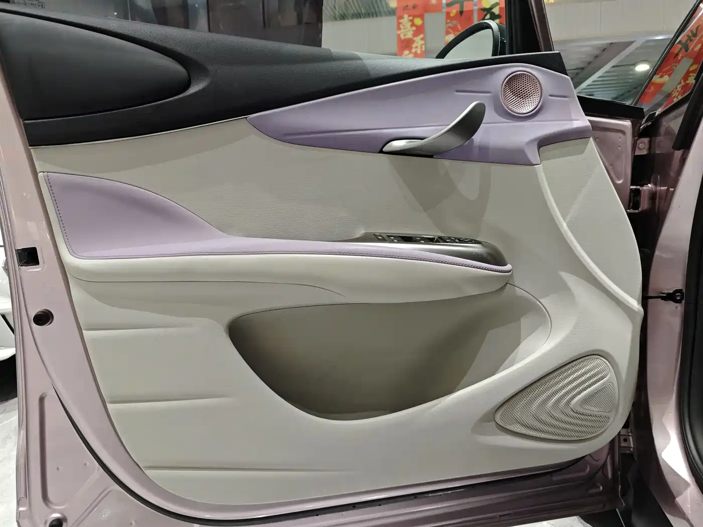BYD Dolphin 2021 Model 405km Fashion Edition фото 21