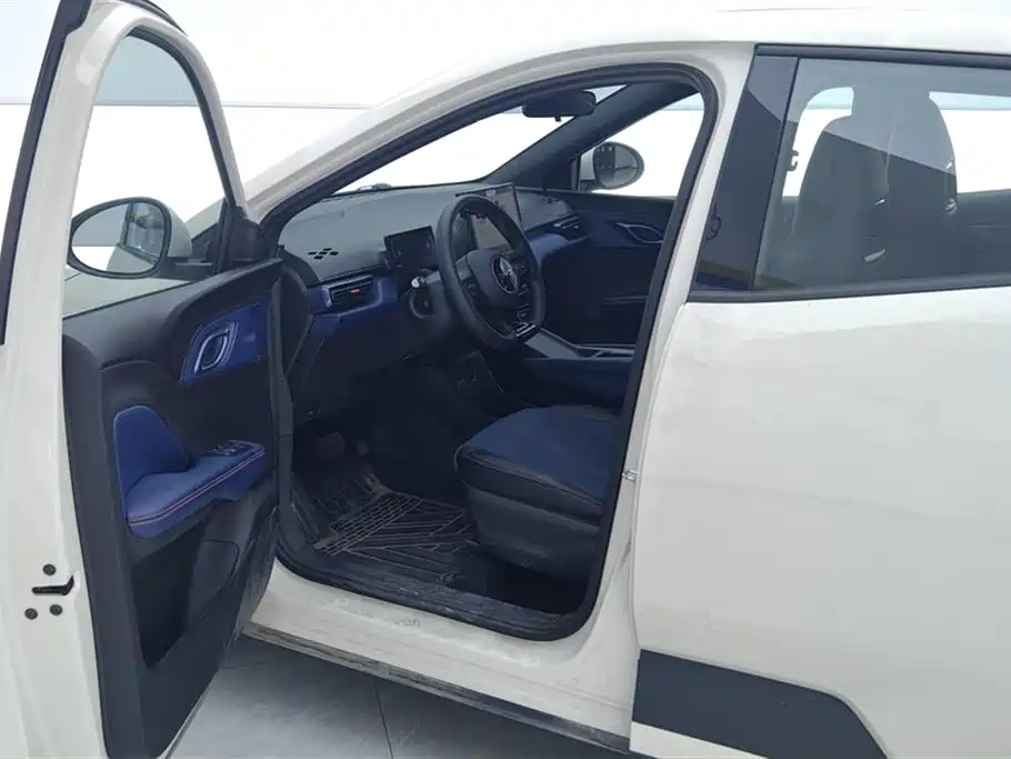 BYD Seagull 2025 Smart Drive Edition 305km Vitality Version фото 9