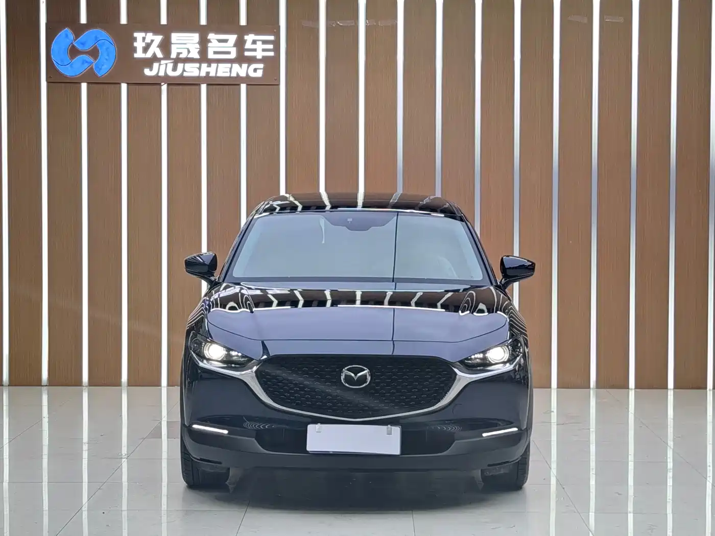 Mazda CX-30 2022 2021 2.0L Auto Elegant Joy Type