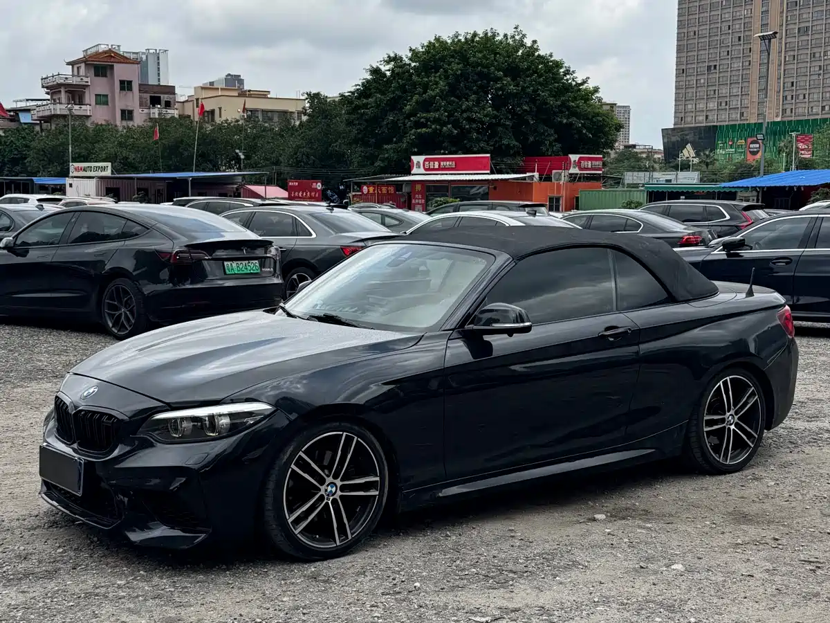 BMW 2 Series (Import) 2019 225i Convertible Coupe Exclusive M Sport Package фото 6