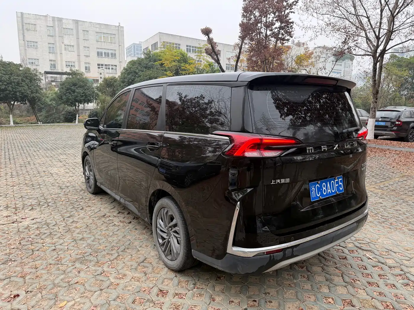 SAIC MAXUS CHASE G50