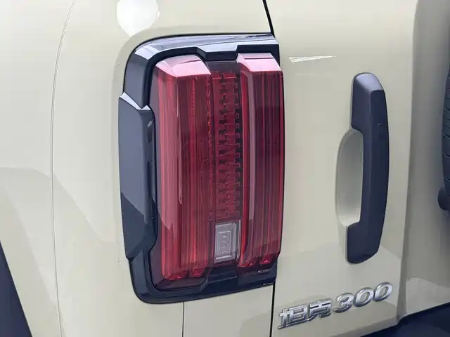 Tank 300 2025 2025 2.0T Challenger