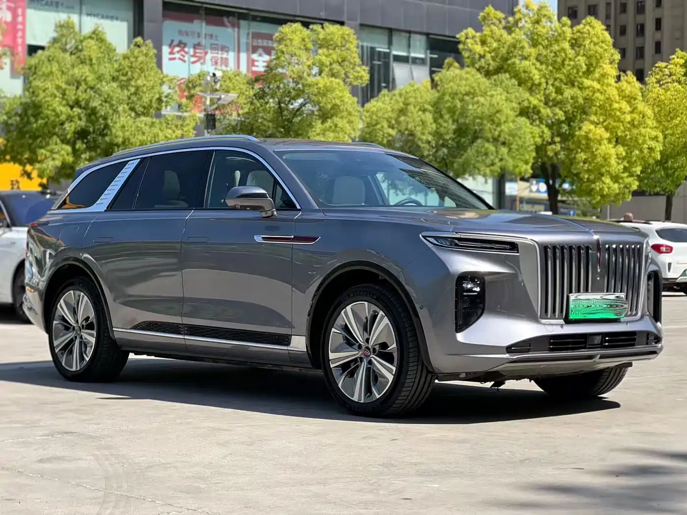Hongqi E-HS9 2021 460km Flagship Comfort 6-seater фото 3