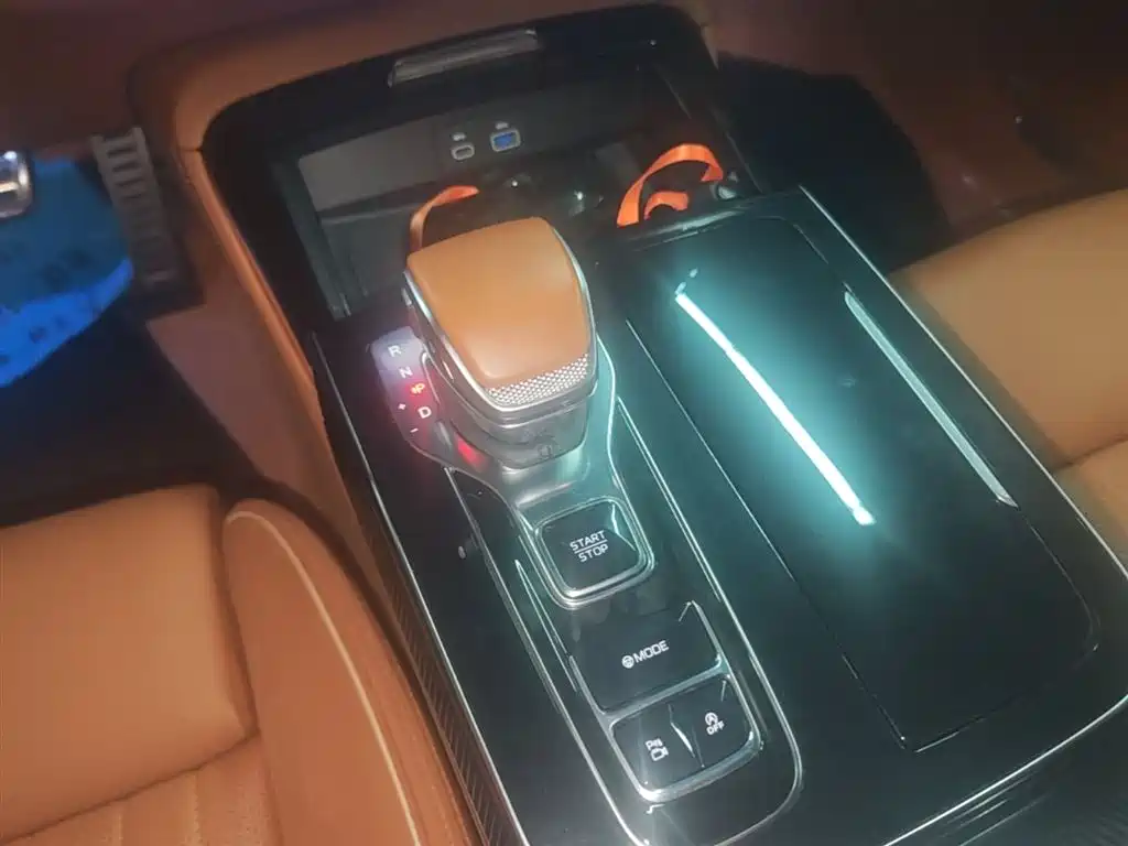 Hongqi H9 2024 2.0T Qi Enjoy Private Fashion Edition фото 14
