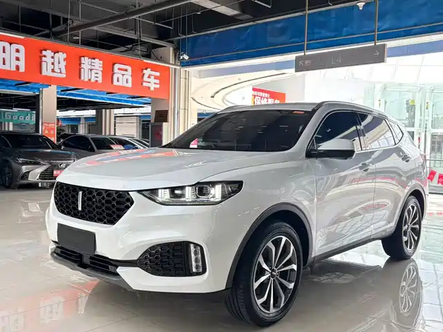 WEY VV6 2019