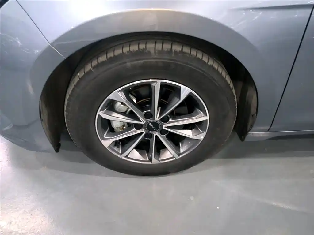 BYD Destroyer 05 2024 Glory Edition DM-i 55KM Luxury фото 23