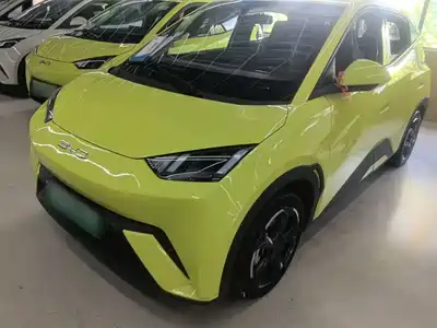 BYD Seagull