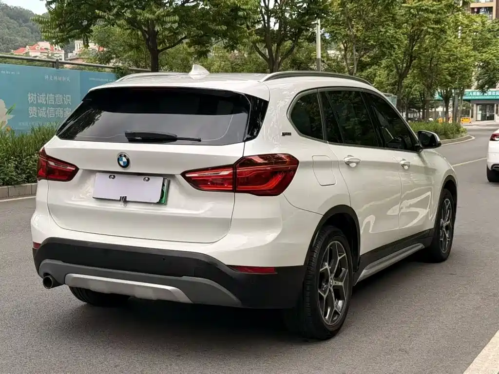 BMW X1 New Energy 2018 xDrive25Le Luxury Model фото 4