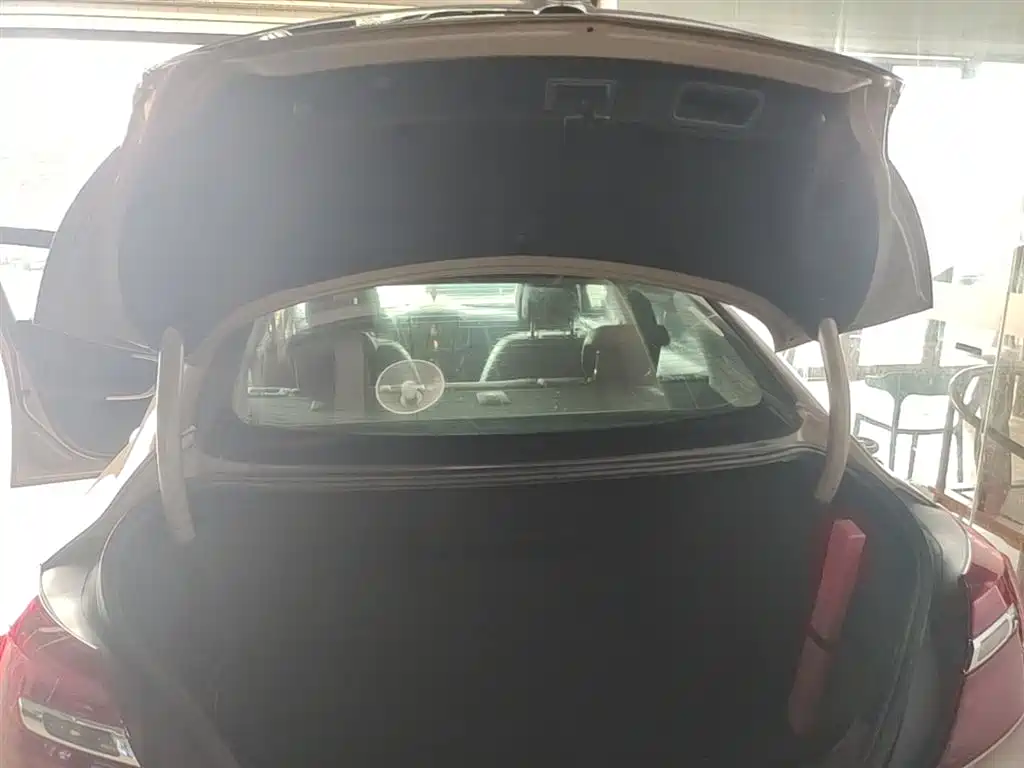 Buick Regal 2014 1.6T Fashion Technology Type фото 19