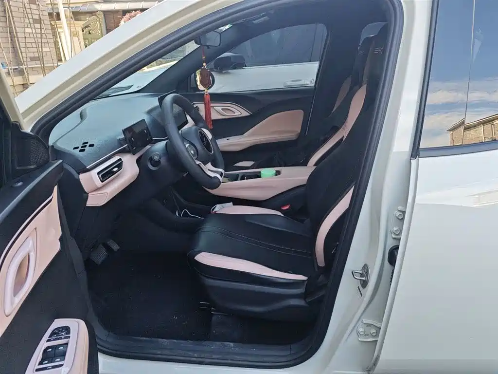 BYD Seagull 2023 Vitality Edition фото 8